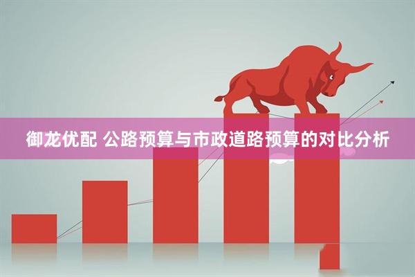 御龙优配 公路预算与市政道路预算的对比分析