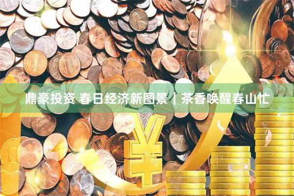 鼎豪投资 春日经济新图景｜茶香唤醒春山忙