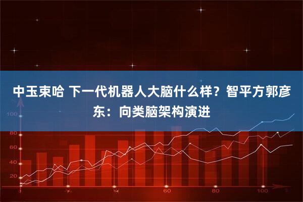 中玉束哈 下一代机器人大脑什么样？智平方郭彦东：向类脑架构演进