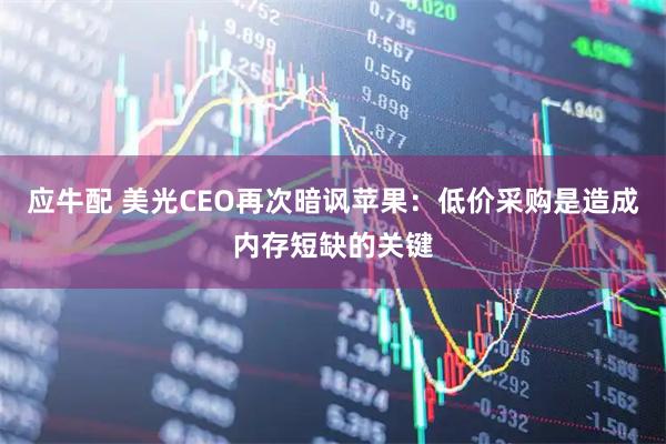 应牛配 美光CEO再次暗讽苹果：低价采购是造成内存短缺的关键
